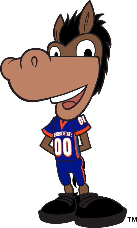 Boise State Broncos 2008-2017 Mascot Logo DIY iron on transfer (heat transfer)